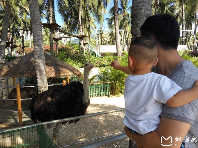 三亚旅游全攻略带孩子必玩,带小孩感受阳光与海滩