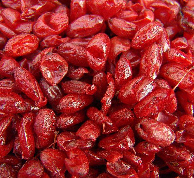 四大中药材市场最新行情,中药材价格最新行情桂枝