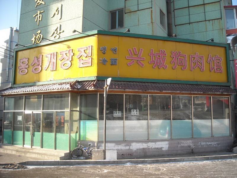 狗肉馆被解救的狗笑了,狗肉馆救下金毛下崽了