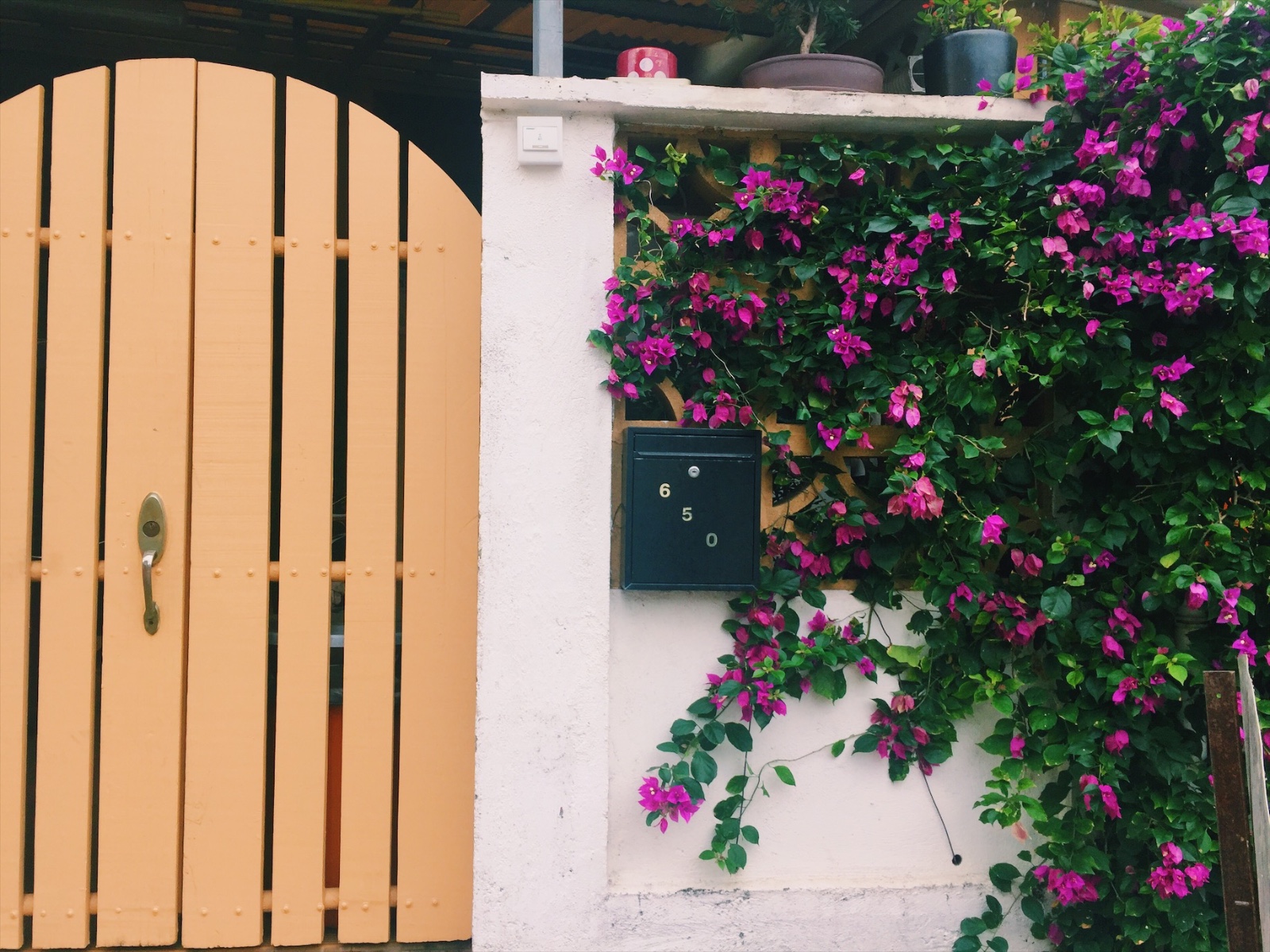 VA踩点|我养你啊