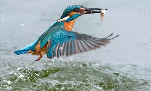 醉，是点翠那一抹蓝