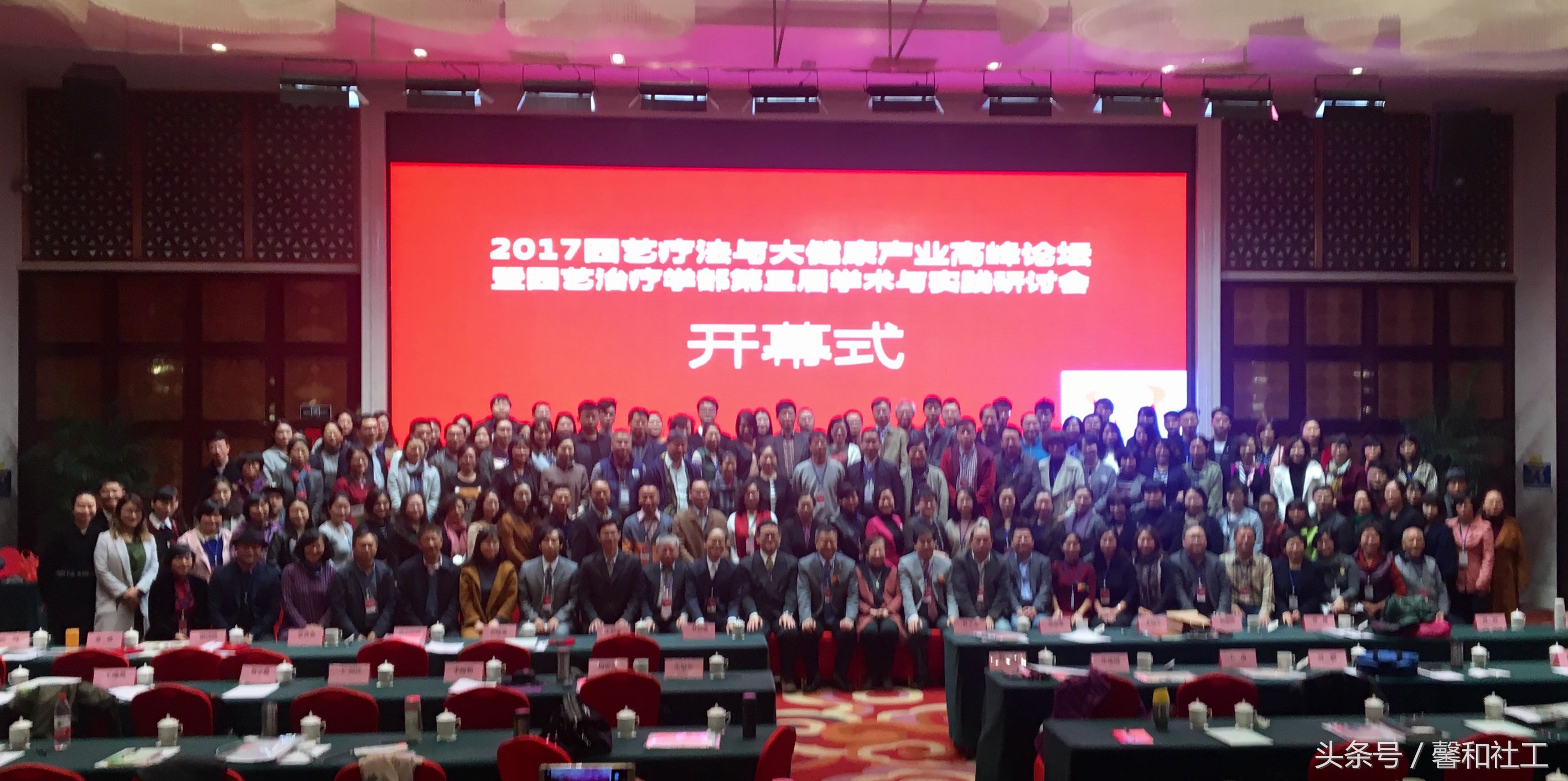 中国园艺植物栽培历史,园艺疗法在中国的发展