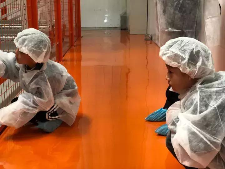 跟着果倍爽在直升机上俯瞰鸟巢，零距离探秘果汁生产！