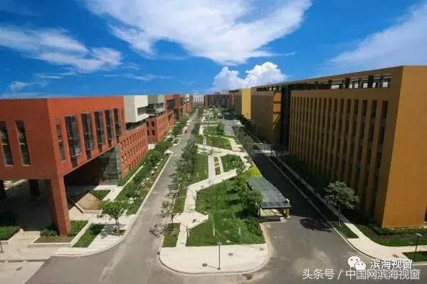 每年10亿元!来滨海新区这工作的有福了!全天津都羡慕