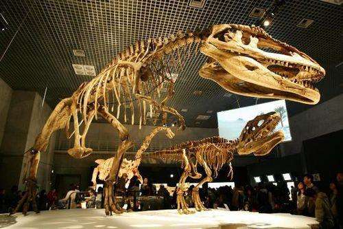 山东诸城城市风光,诸城恐龙世界之最