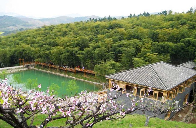 长兴依山傍水的农家小院,浙江长兴依山傍水民宿