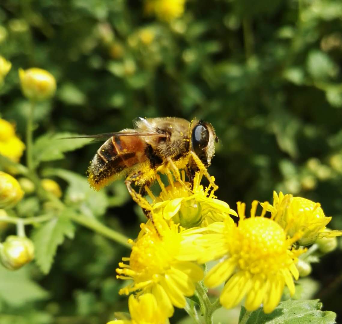 手拍世界作品交流平台,手拍世界摄影网站