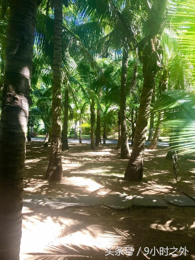 湛江天成台旅游,湛江天成台度假村有什么好玩的