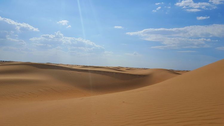 恩格贝沙漠自驾游,走进原始森林房车游记