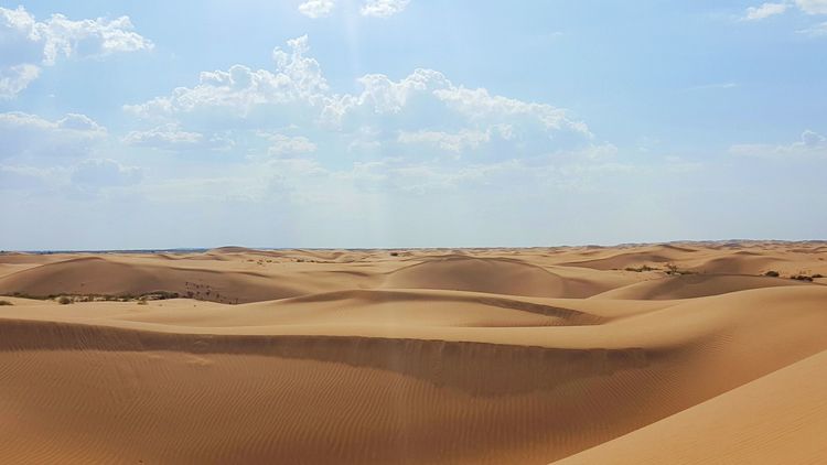 恩格贝沙漠自驾游,走进原始森林房车游记