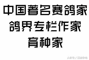 胡刚赛鸽,胡刚说鸽定棚鸽最新视频