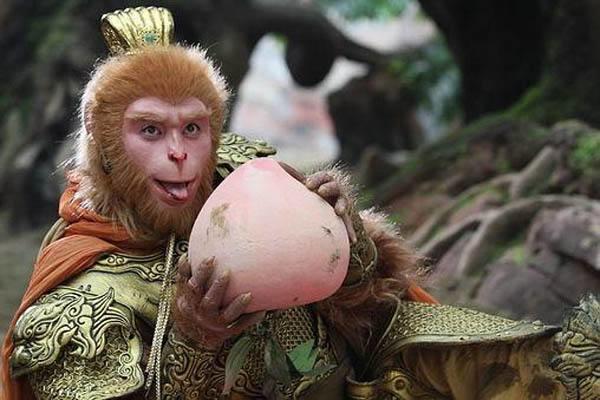 西游长生药,西游记中的仙丹灵药有哪些