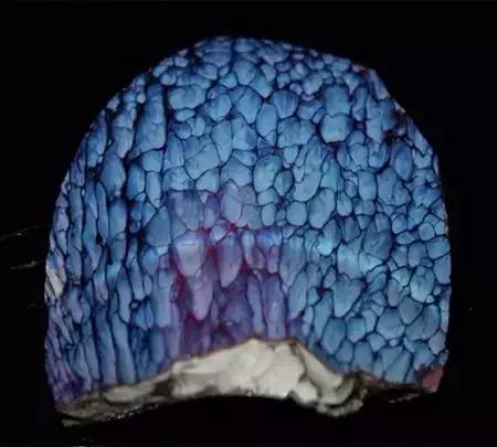 两千万买一堆碎片看完你肯定说值