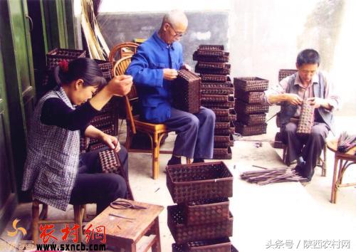 农村人创业的机会有哪些,新手回农村创业有哪些方案