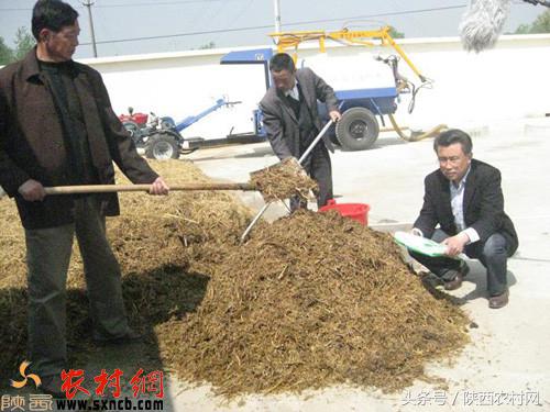 农村人创业的机会有哪些,新手回农村创业有哪些方案