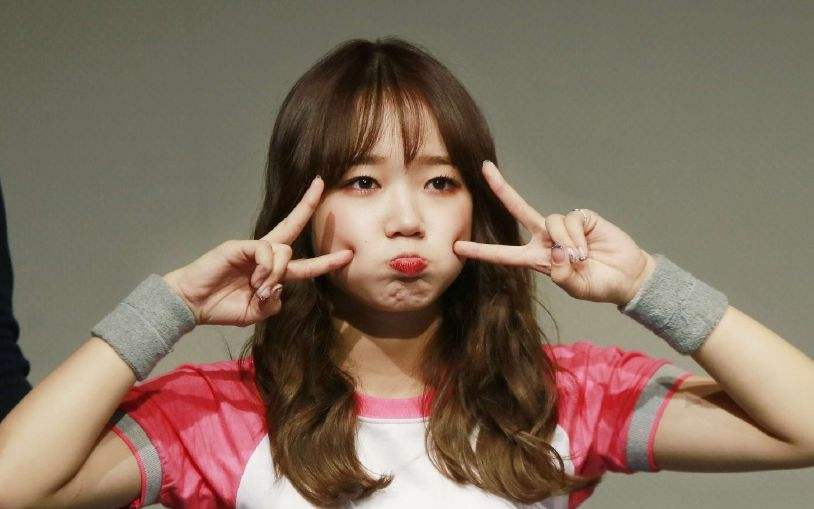 produce101女团解散歌曲,produce101为什么会解散