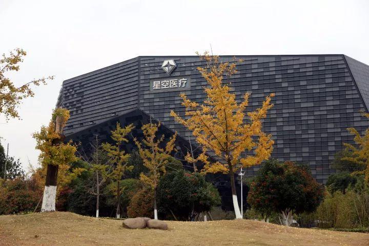 你越黄，我越喜欢！凛冬将至，这是最后一波西太湖的秋景