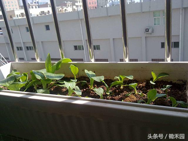 利用业余时间做点小生意,用空闲时间做要做的事