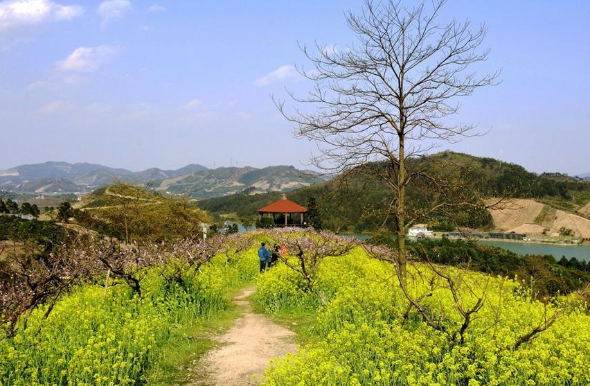 长兴依山傍水的农家小院,浙江长兴依山傍水民宿