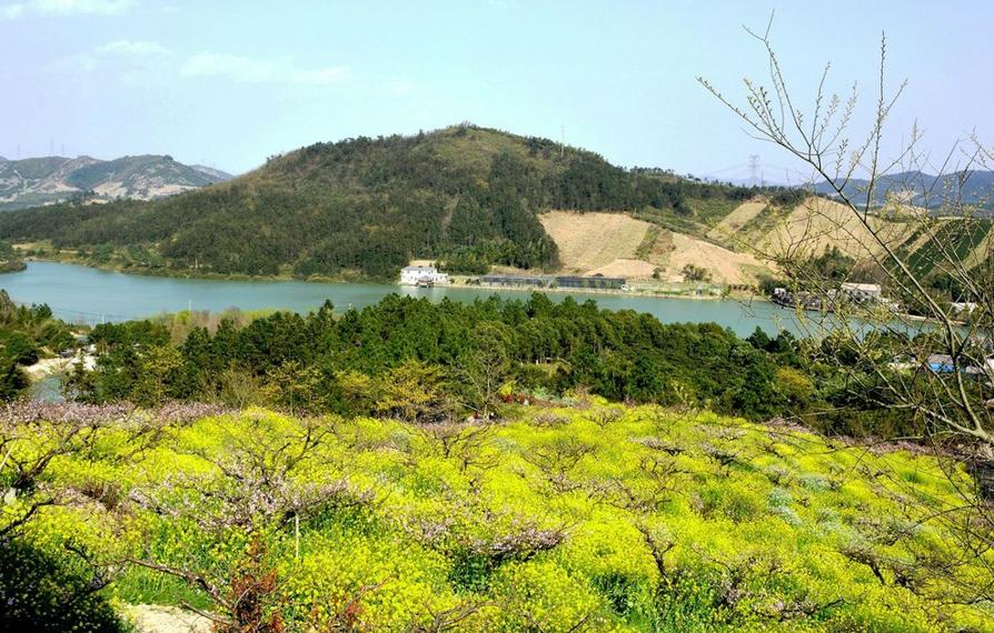 长兴依山傍水的农家小院,浙江长兴依山傍水民宿