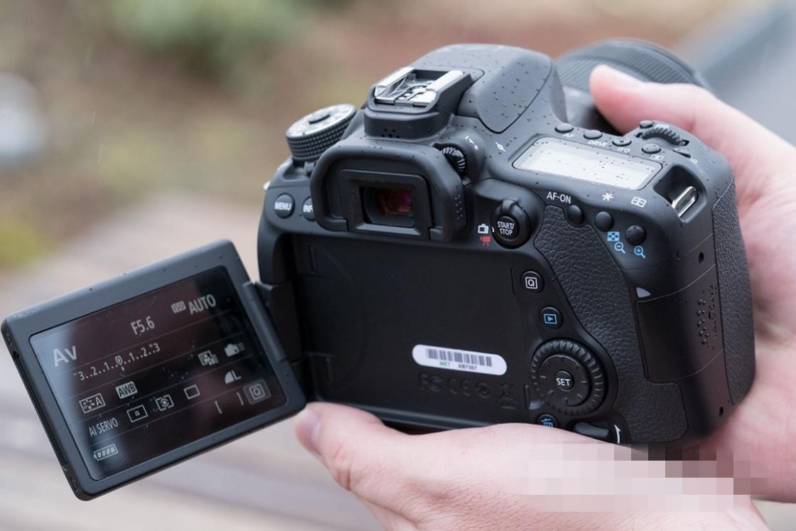 佳能单反EOS80D怎么样,佳能相机80d和800d哪个好