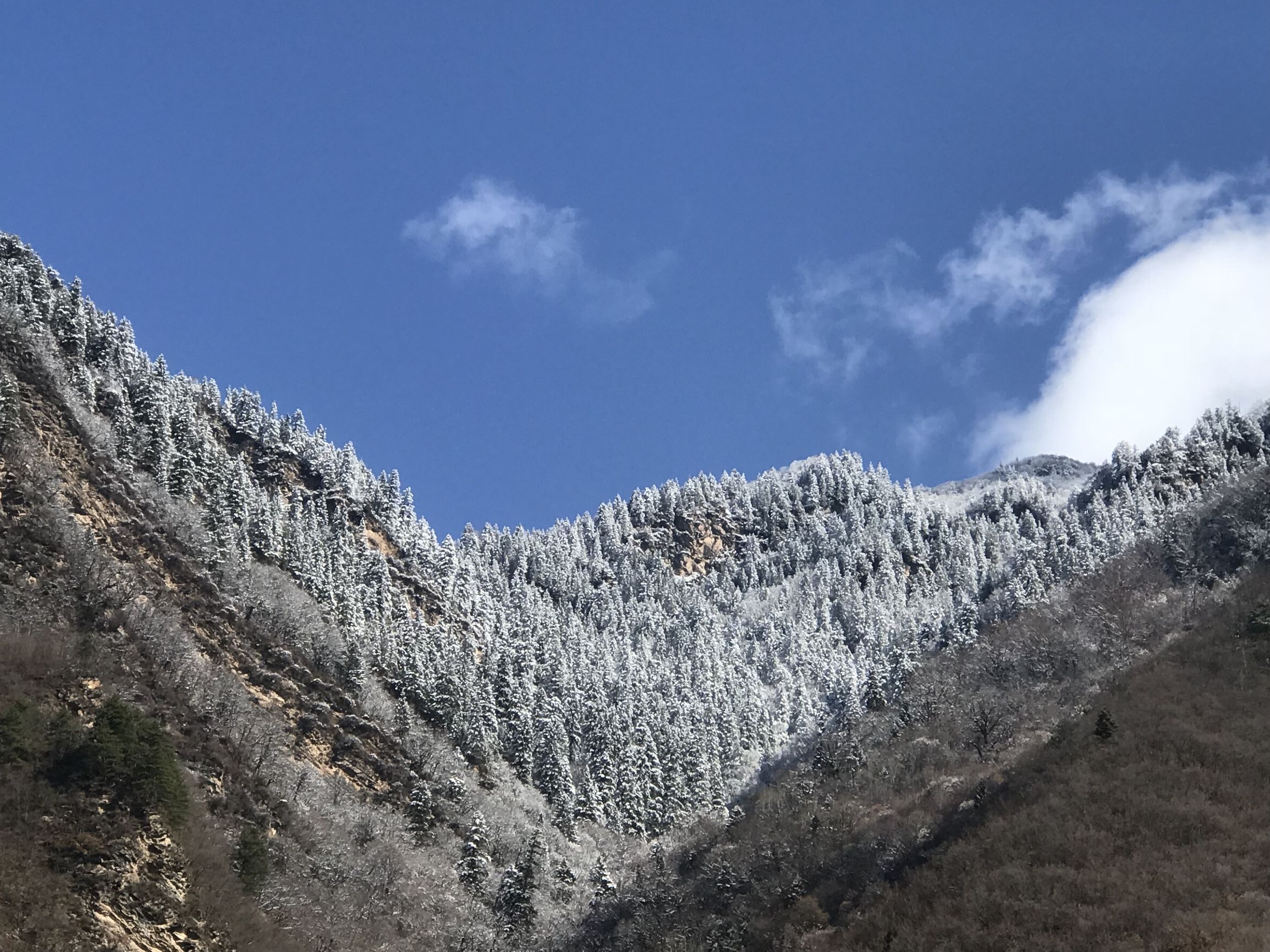 手拍世界作品交流平台,手拍世界摄影网站