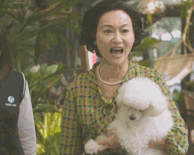 钄′緷鏋楁灄淇婃澃棰佸,54灞婇噾椹鏋椾繆鏉拌敗渚濇灄