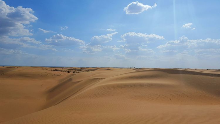 恩格贝沙漠自驾游,走进原始森林房车游记