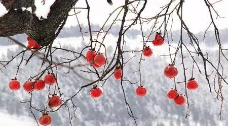 人教版七年级上unit6重点内容,七年级人教上unit9知识点归纳