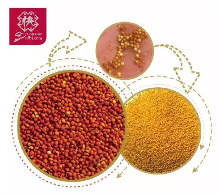 大宁威风锣鼓队,大宁闹十五威风锣鼓