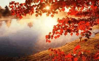 老王谈创业规划,老王谈创业的优势