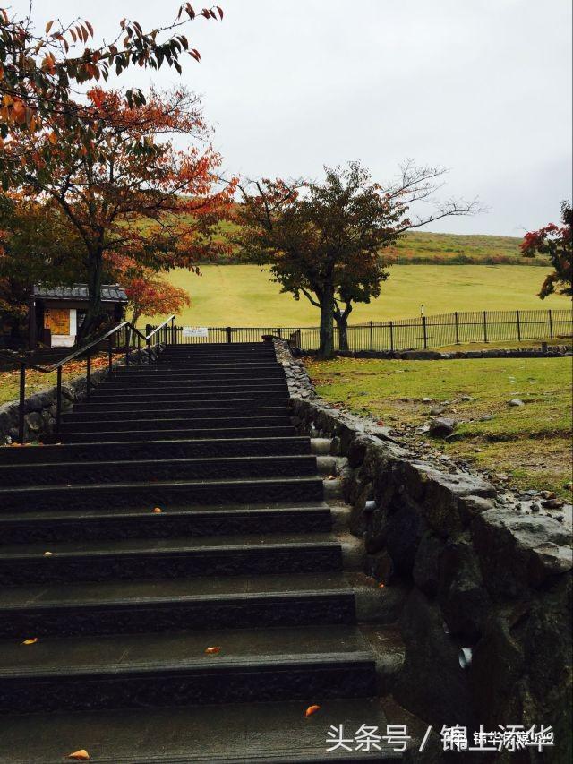 去日本旅游最全攻略,去日本旅游必看