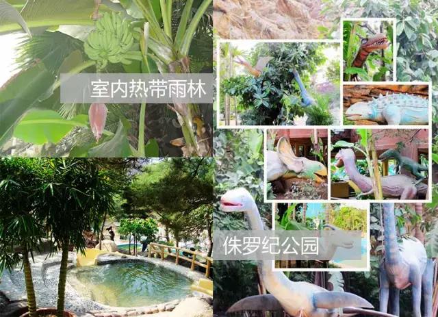 大连周边温泉度假村排名榜,大连汤本汤温泉门票价目表