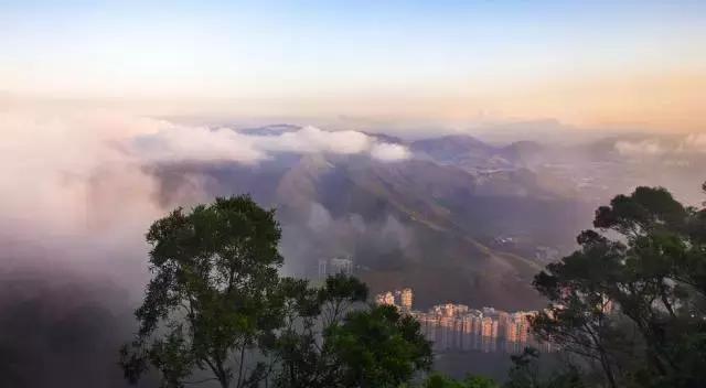 深圳十大打工美女排名表,深圳第一美女简历