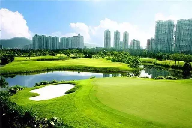 深圳十大打工美女排名表,深圳第一美女简历