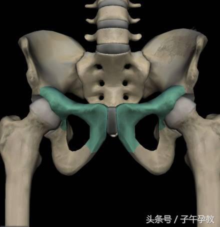 孕期耻骨联合疼痛纠正方法,孕期耻骨联合疼痛改善方案进行中