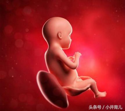 孕期：妊娠第37~40周的注意事项