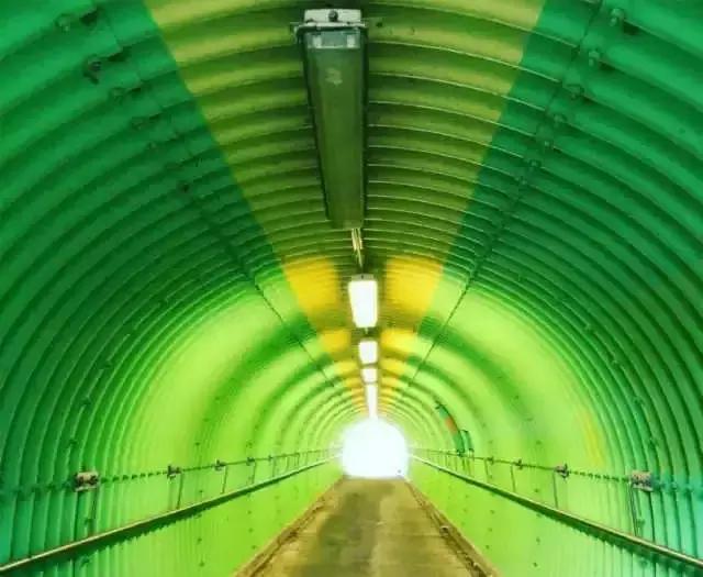 香港哪些地方不可以随便拍照,香港无人不知的景点是哪里