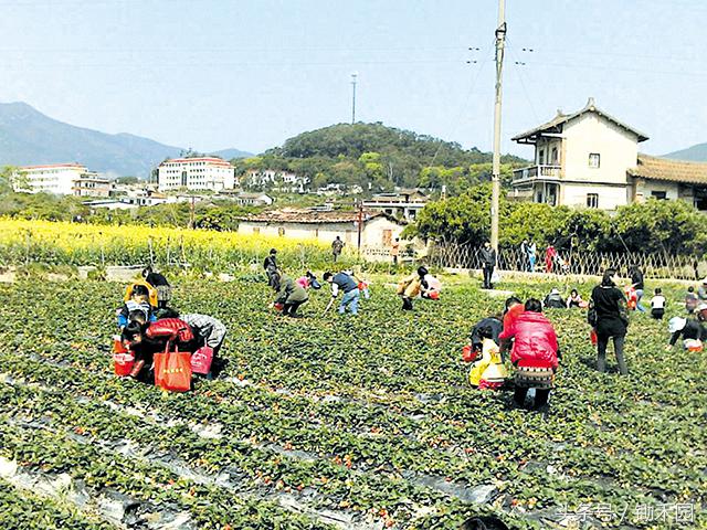 利用业余时间做点小生意,用空闲时间做要做的事