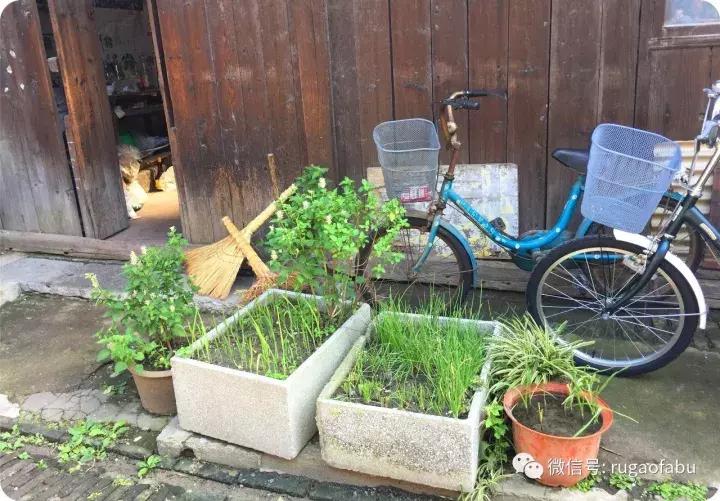 中国宜居长寿城市,美丽的如皋长寿之乡