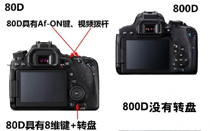 佳能单反EOS80D怎么样,佳能相机80d和800d哪个好