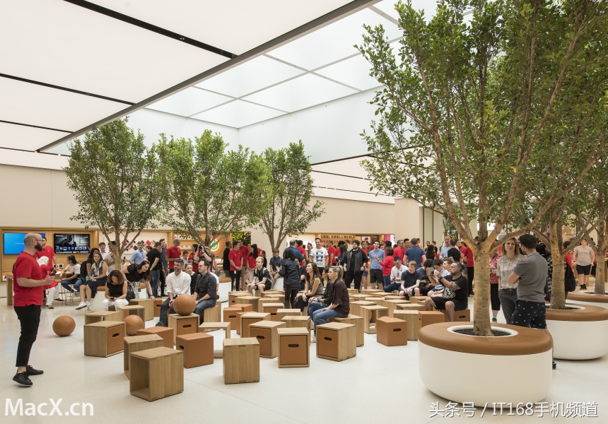 有钱任性系列,有钱任性系列完整版