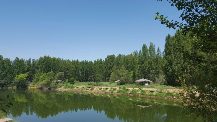 恩格贝沙漠自驾游,走进原始森林房车游记