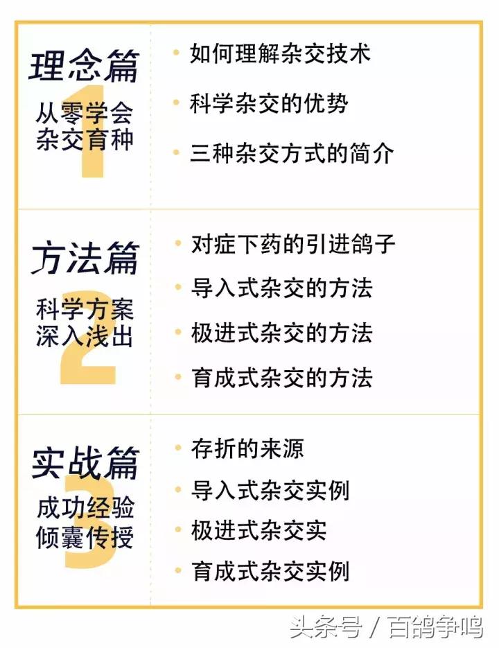 胡刚赛鸽,胡刚说鸽定棚鸽最新视频