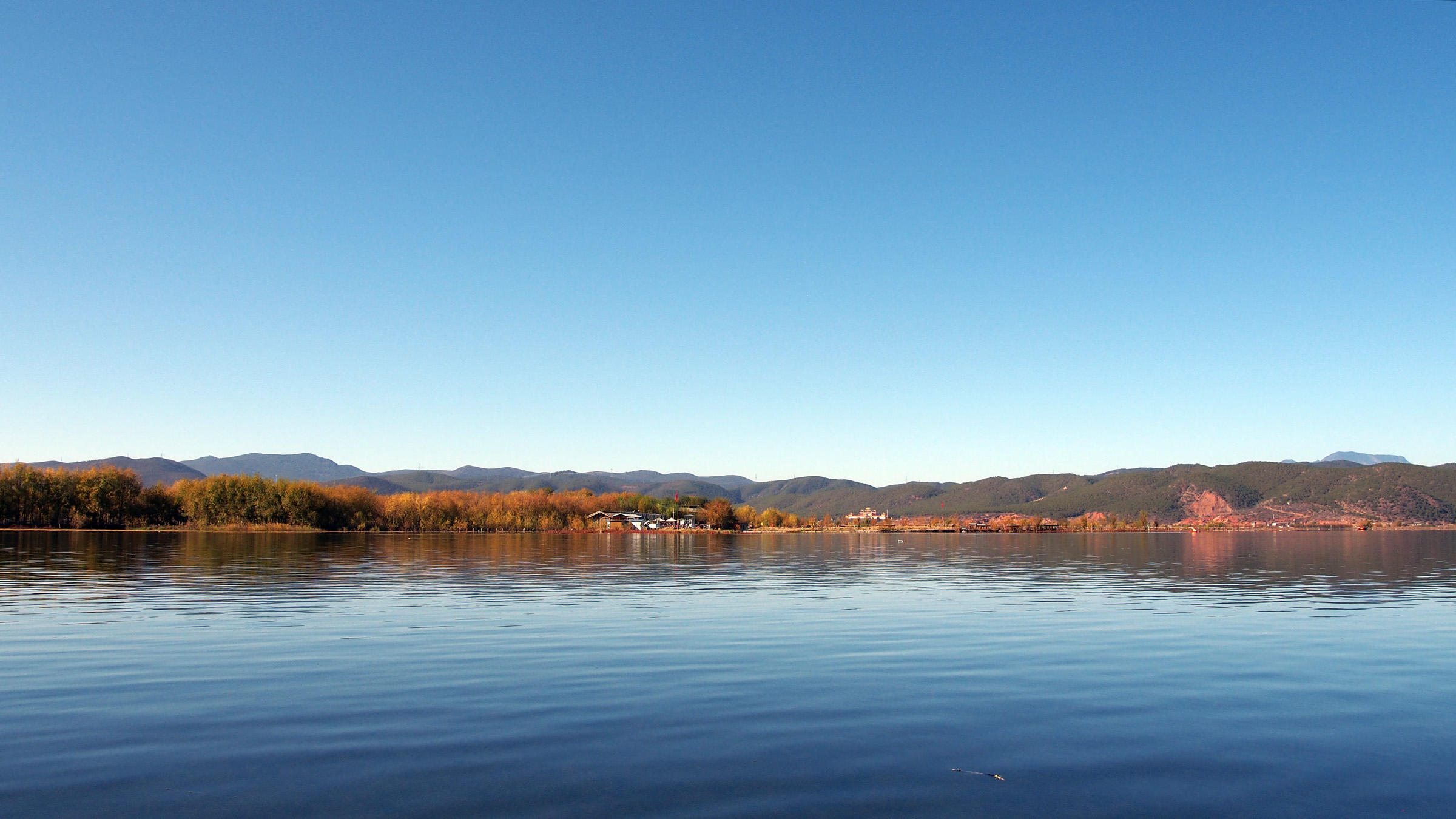 水至清则无鱼游泳,水至清则无鱼但是还是有很多鱼