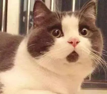 天气再冷，过烫的食物也别急着吃，一不小心就……