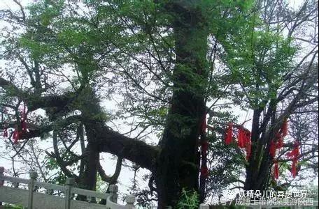 那山那水那情全文阅读,那山那水那思念朗诵