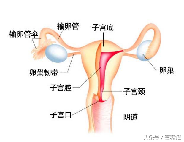 盆腔炎经常左下腹疼痛是什么原因,下腹疼痛异常当心盆腔炎