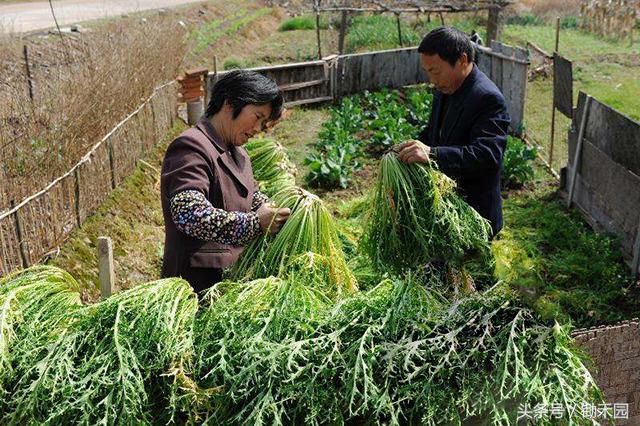 农民工在农村创业门路上干什么活,农民工创业前景