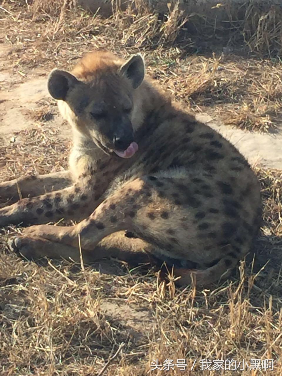 测评德州一日游,德州市动植物园一日游
